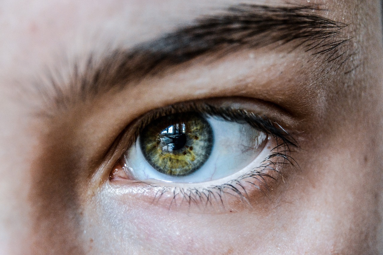 combien de temps dure une blépharoplastie